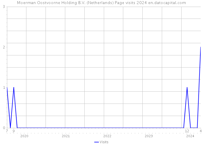 Moerman Oostvoorne Holding B.V. (Netherlands) Page visits 2024 