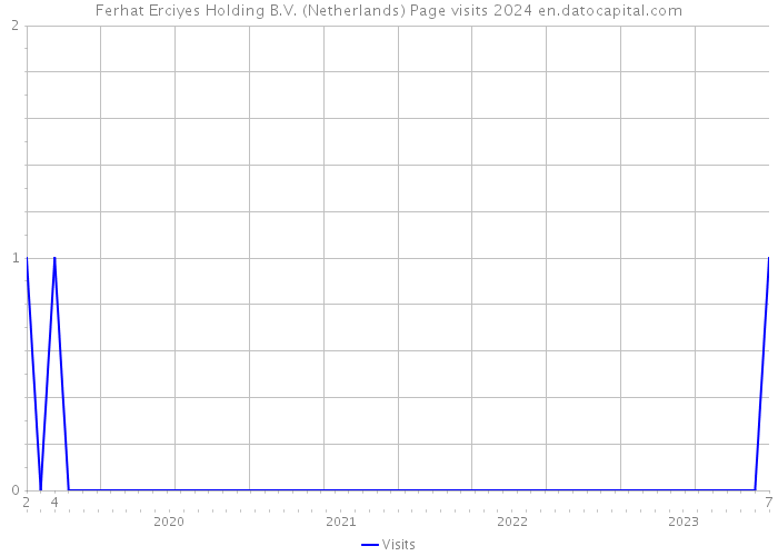 Ferhat Erciyes Holding B.V. (Netherlands) Page visits 2024 
