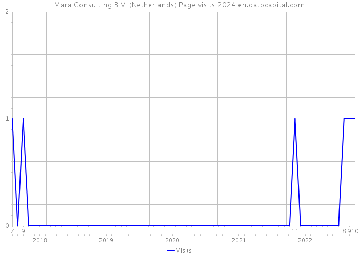 Mara Consulting B.V. (Netherlands) Page visits 2024 