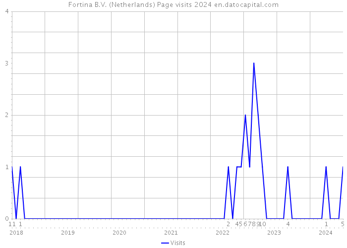 Fortina B.V. (Netherlands) Page visits 2024 