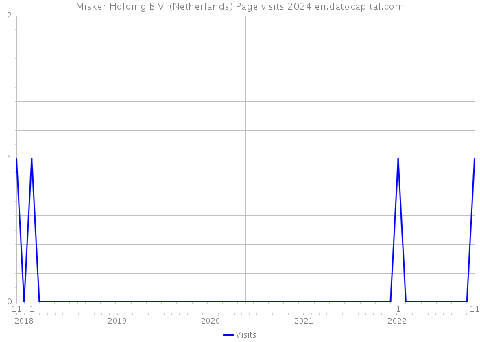 Misker Holding B.V. (Netherlands) Page visits 2024 