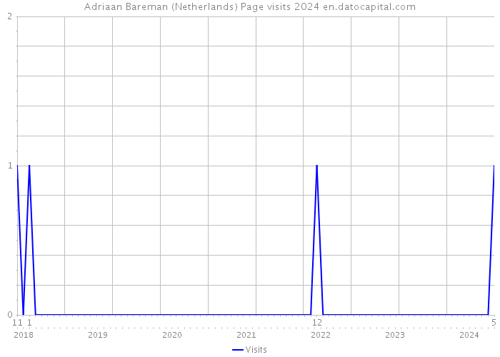 Adriaan Bareman (Netherlands) Page visits 2024 