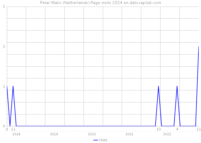 Petar Matic (Netherlands) Page visits 2024 