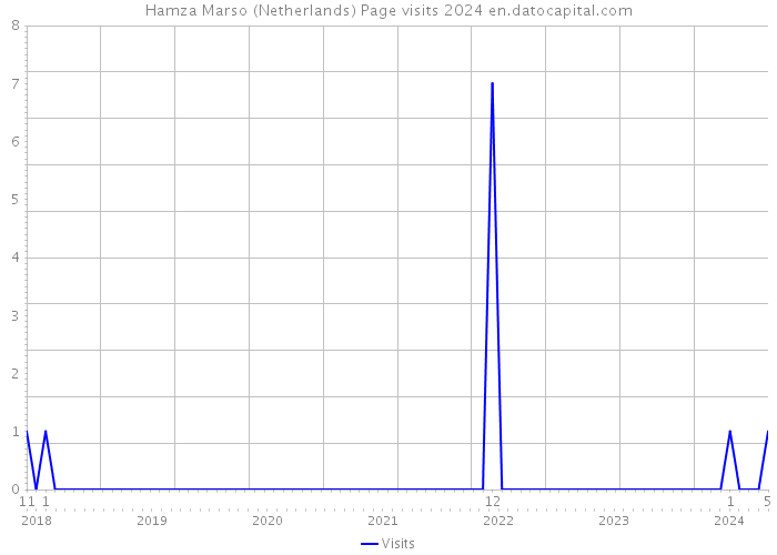 Hamza Marso (Netherlands) Page visits 2024 