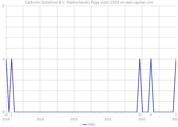 Carbonic Solutions B.V. (Netherlands) Page visits 2024 
