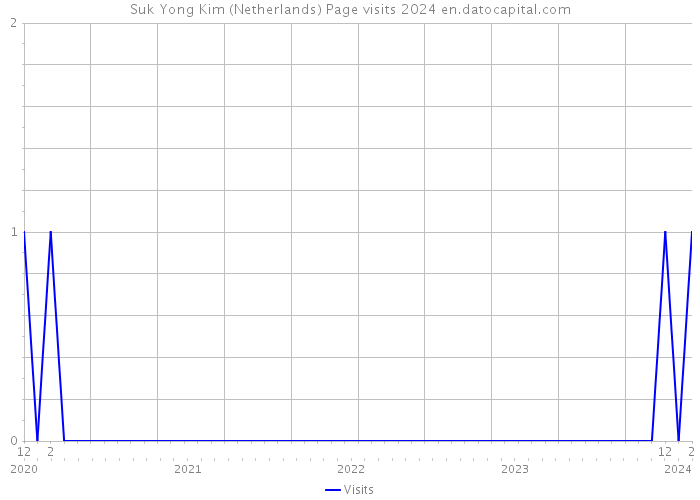 Suk Yong Kim (Netherlands) Page visits 2024 