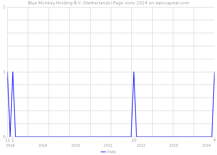 Blue Monkey Holding B.V. (Netherlands) Page visits 2024 