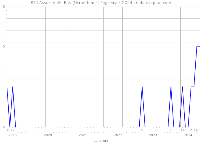 BSR Assurantiën B.V. (Netherlands) Page visits 2024 