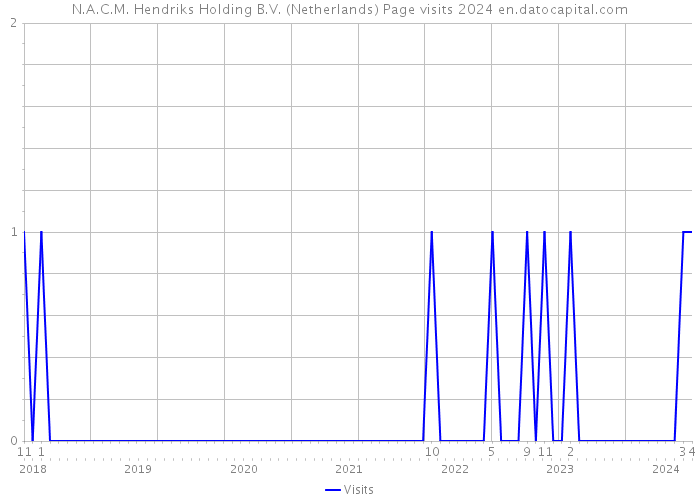 N.A.C.M. Hendriks Holding B.V. (Netherlands) Page visits 2024 
