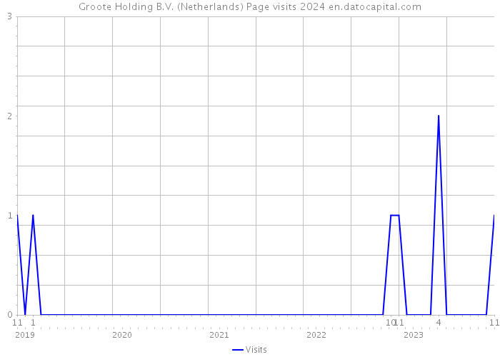 Groote Holding B.V. (Netherlands) Page visits 2024 
