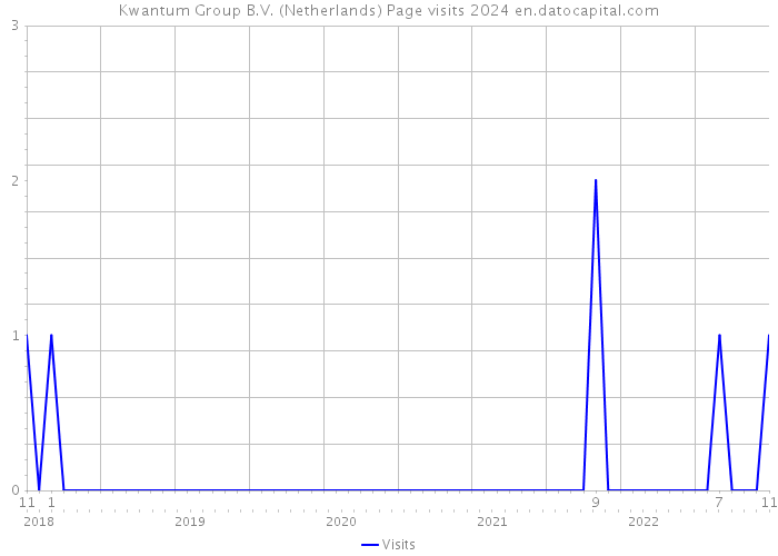 Kwantum Group B.V. (Netherlands) Page visits 2024 