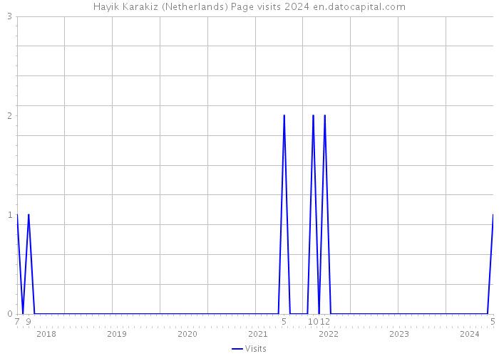 Hayik Karakiz (Netherlands) Page visits 2024 