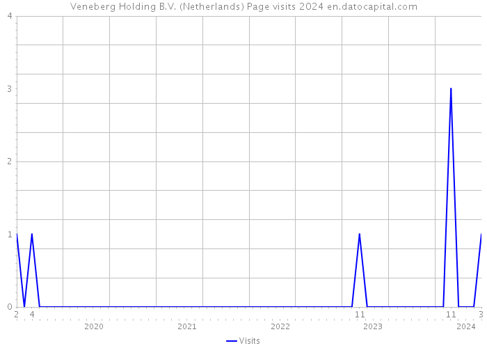 Veneberg Holding B.V. (Netherlands) Page visits 2024 