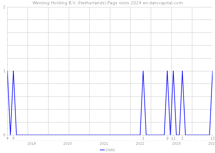 Wenting Holding B.V. (Netherlands) Page visits 2024 