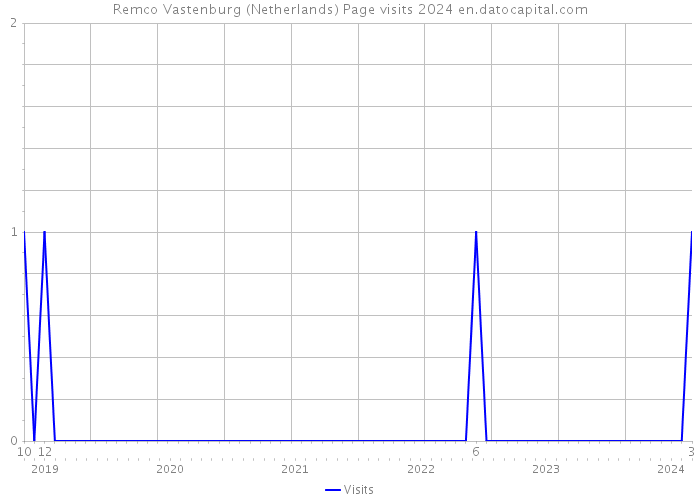 Remco Vastenburg (Netherlands) Page visits 2024 