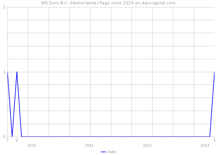 MS Sons B.V. (Netherlands) Page visits 2024 