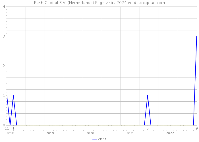 Push Capital B.V. (Netherlands) Page visits 2024 