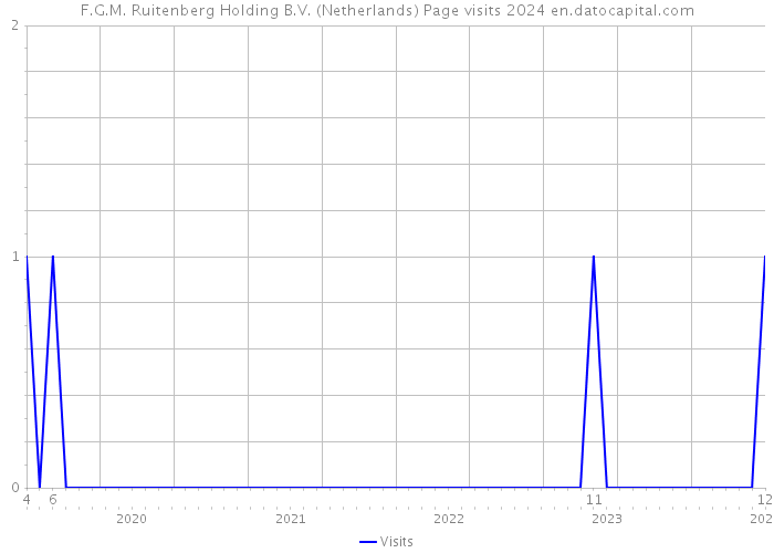 F.G.M. Ruitenberg Holding B.V. (Netherlands) Page visits 2024 