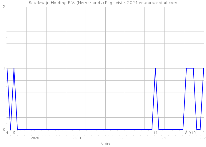Boudewijn Holding B.V. (Netherlands) Page visits 2024 