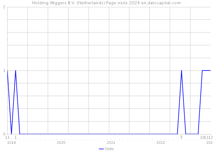 Holding Wiggers B.V. (Netherlands) Page visits 2024 