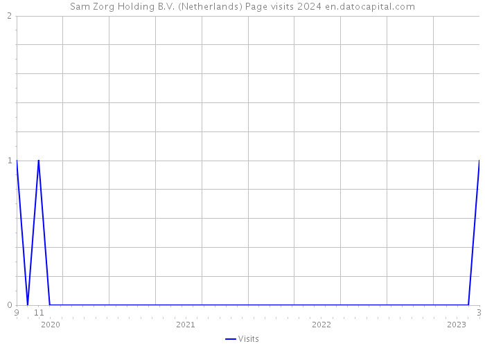 Sam Zorg Holding B.V. (Netherlands) Page visits 2024 