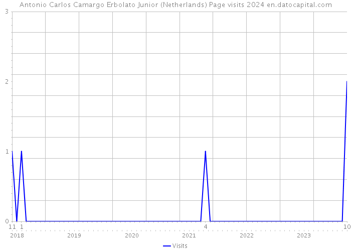 Antonio Carlos Camargo Erbolato Junior (Netherlands) Page visits 2024 