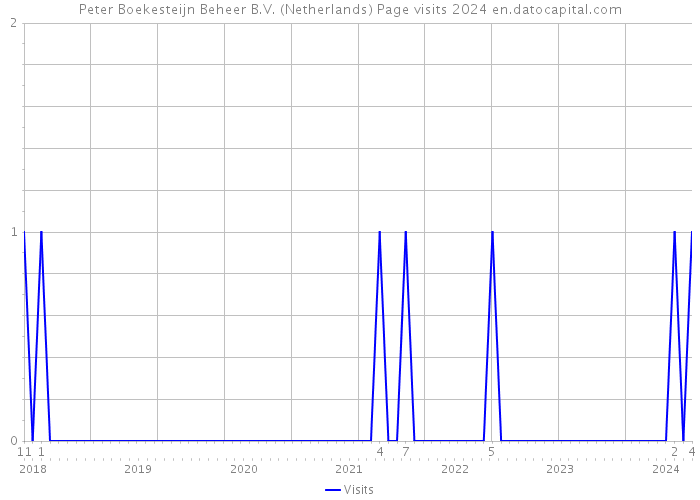 Peter Boekesteijn Beheer B.V. (Netherlands) Page visits 2024 