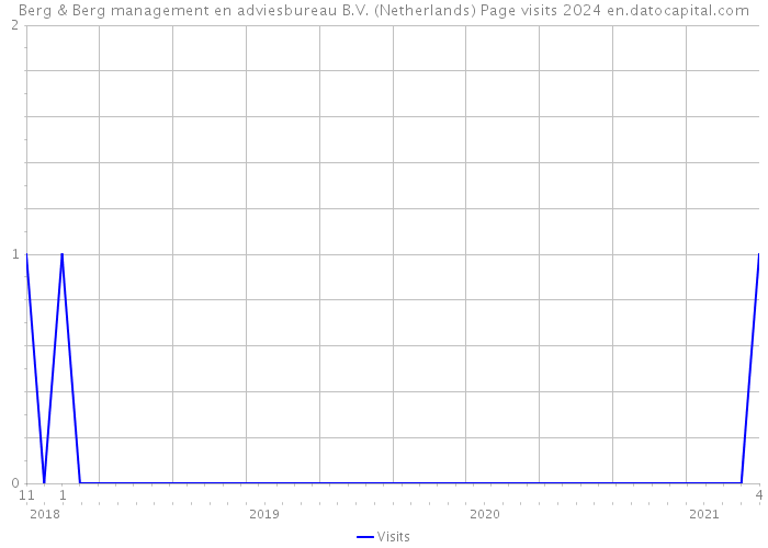 Berg & Berg management en adviesbureau B.V. (Netherlands) Page visits 2024 