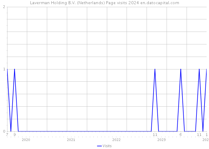 Laverman Holding B.V. (Netherlands) Page visits 2024 