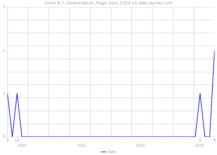 Ankh B.V. (Netherlands) Page visits 2024 