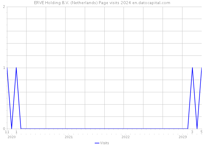 ERVE Holding B.V. (Netherlands) Page visits 2024 
