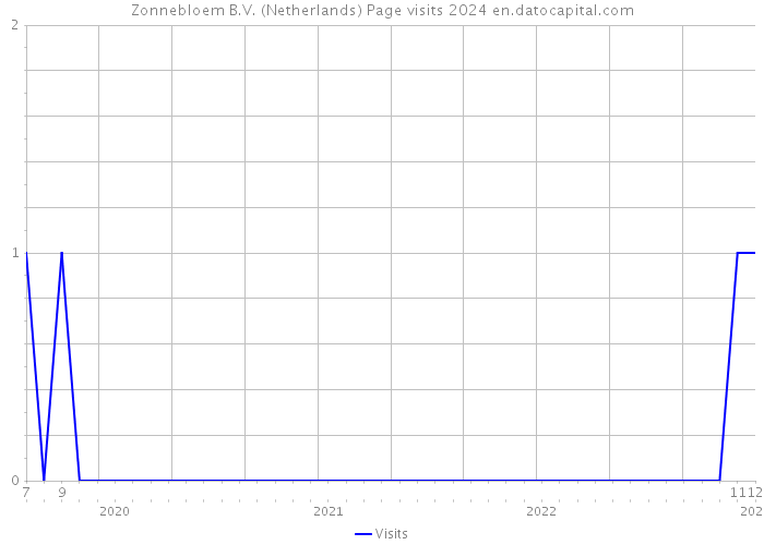 Zonnebloem B.V. (Netherlands) Page visits 2024 