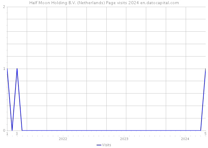 Half Moon Holding B.V. (Netherlands) Page visits 2024 