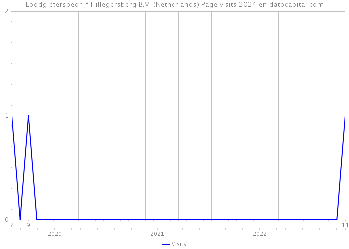 Loodgietersbedrijf Hillegersberg B.V. (Netherlands) Page visits 2024 