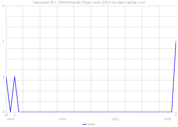 Hanuman B.V. (Netherlands) Page visits 2024 