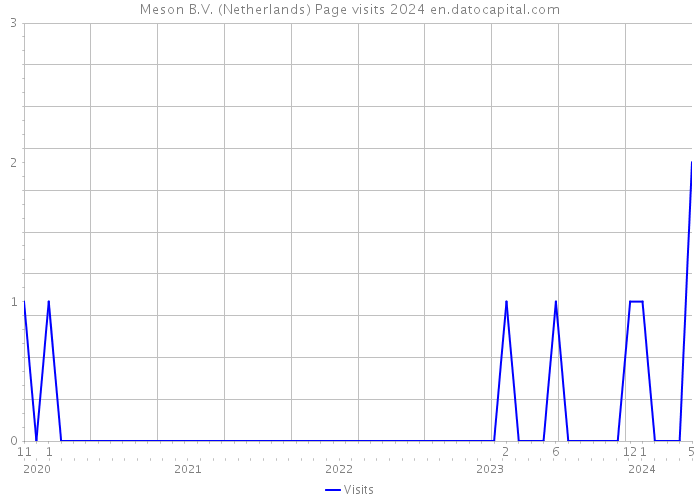 Meson B.V. (Netherlands) Page visits 2024 