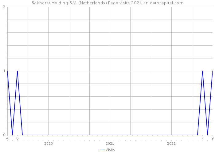 Bokhorst Holding B.V. (Netherlands) Page visits 2024 