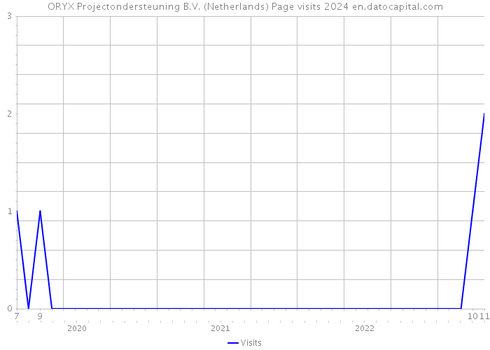 ORYX Projectondersteuning B.V. (Netherlands) Page visits 2024 