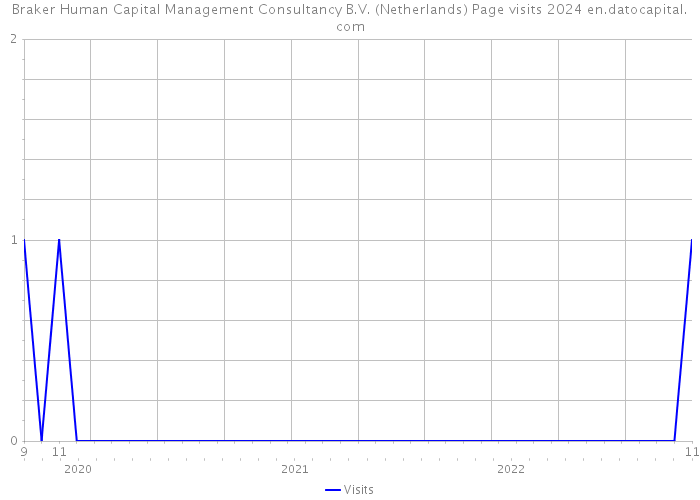 Braker Human Capital Management Consultancy B.V. (Netherlands) Page visits 2024 