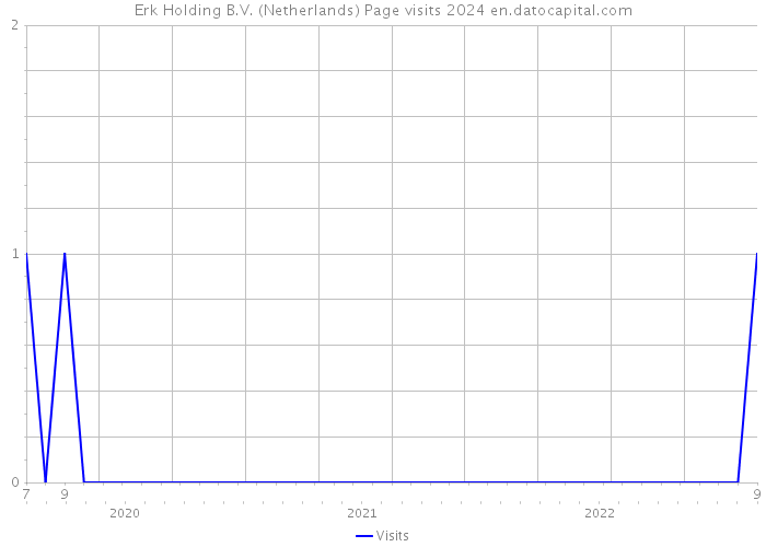 Erk Holding B.V. (Netherlands) Page visits 2024 