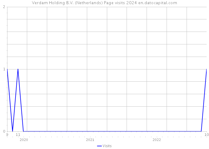 Verdam Holding B.V. (Netherlands) Page visits 2024 