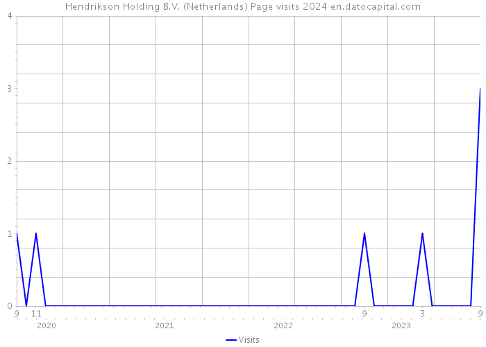 Hendrikson Holding B.V. (Netherlands) Page visits 2024 