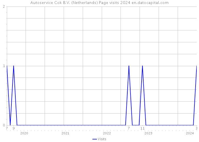 Autoservice Cok B.V. (Netherlands) Page visits 2024 