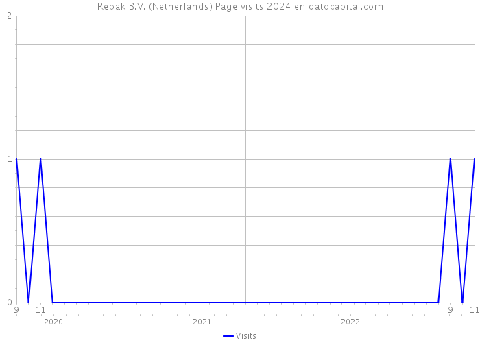 Rebak B.V. (Netherlands) Page visits 2024 