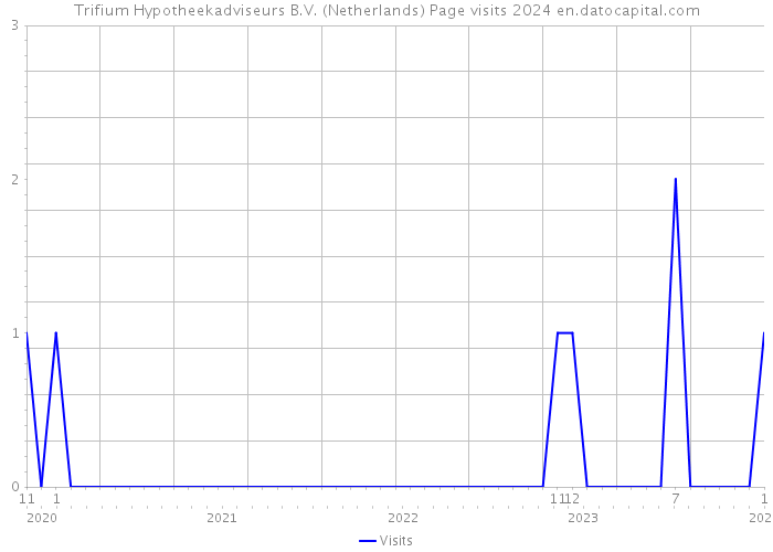 Trifium Hypotheekadviseurs B.V. (Netherlands) Page visits 2024 