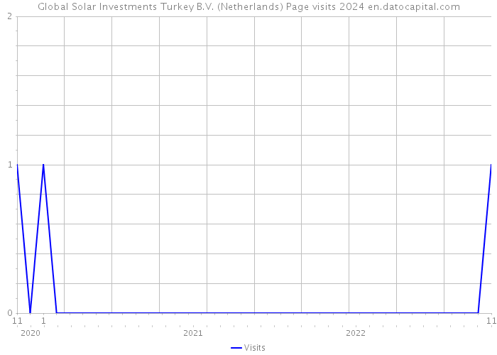 Global Solar Investments Turkey B.V. (Netherlands) Page visits 2024 