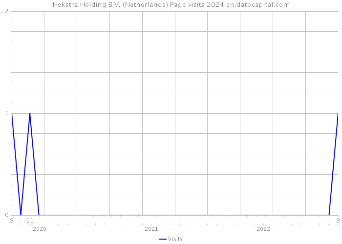 Hekstra Holding B.V. (Netherlands) Page visits 2024 