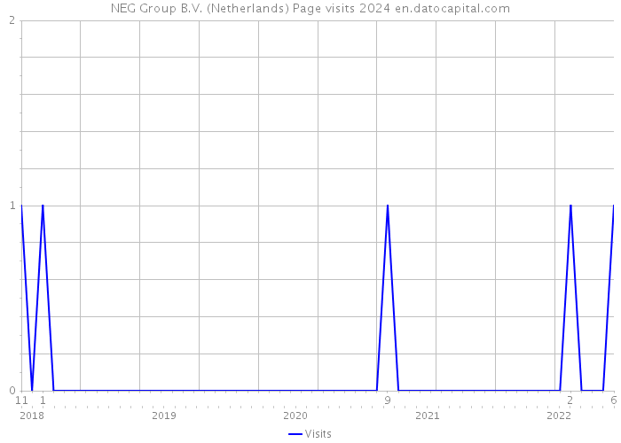NEG Group B.V. (Netherlands) Page visits 2024 
