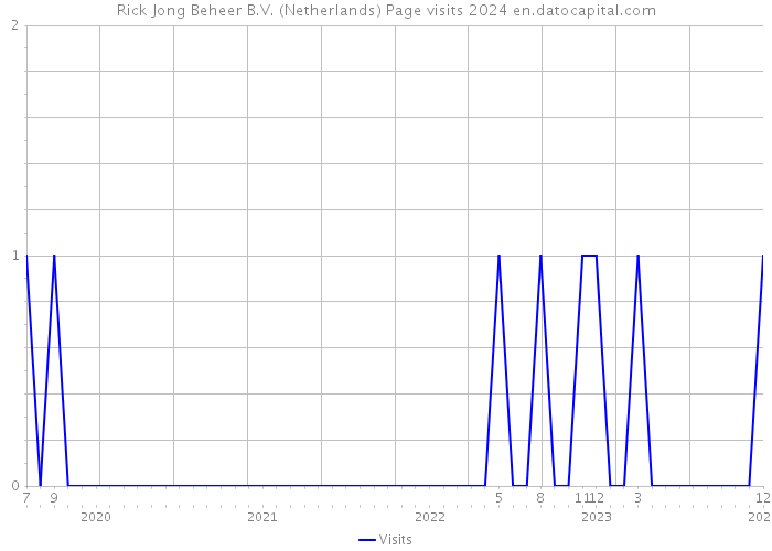 Rick Jong Beheer B.V. (Netherlands) Page visits 2024 
