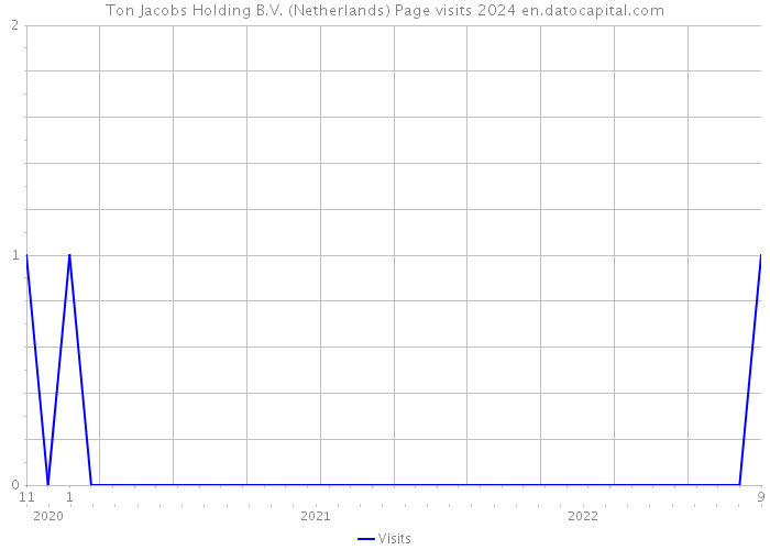Ton Jacobs Holding B.V. (Netherlands) Page visits 2024 